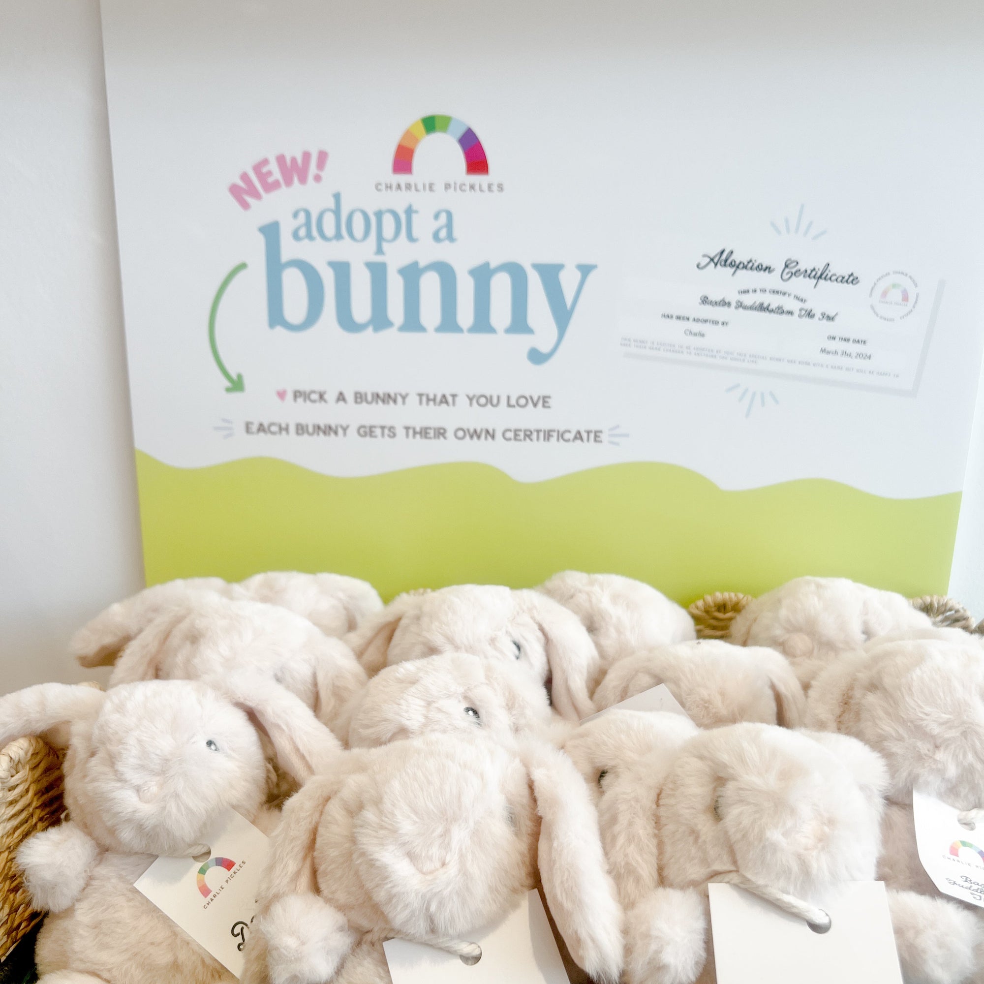 Bunny Adoption Day