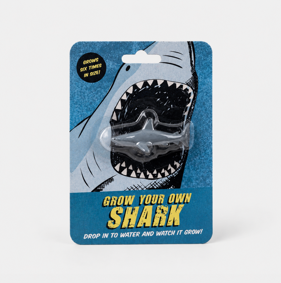 Grow your own shark