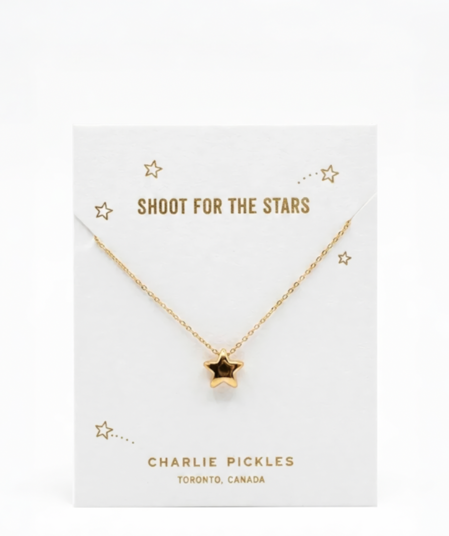 Shoot For The Stars, 18K Gold Plated Necklace
