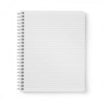 Purple Mondo Notebook